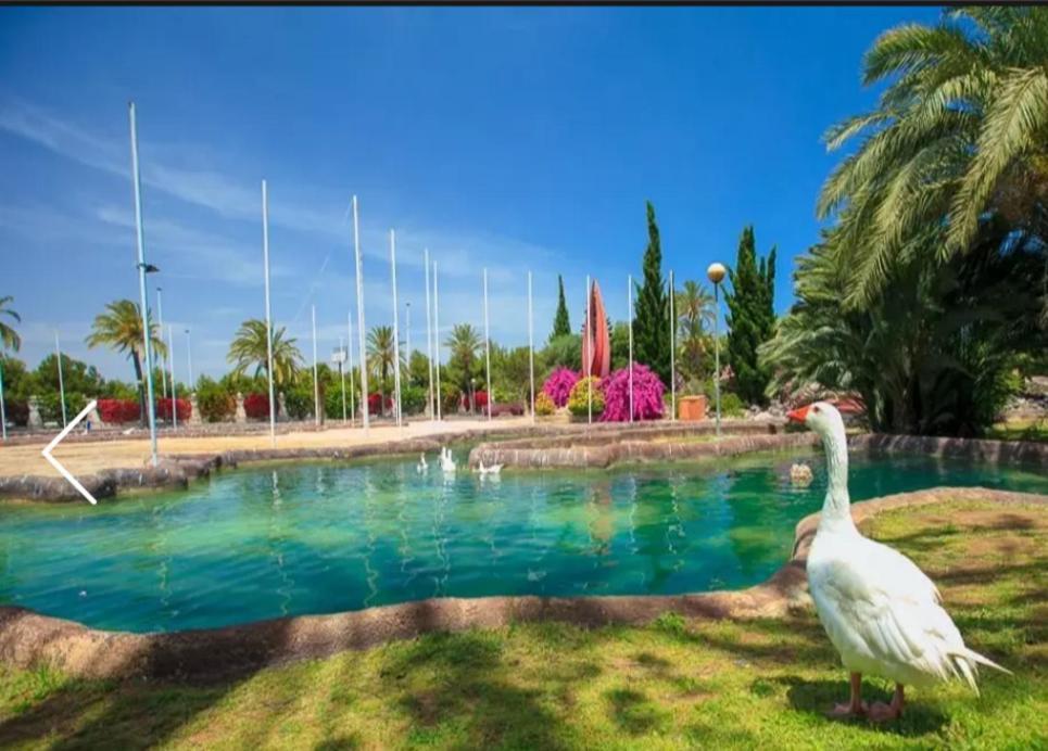 Beach Apartment Torrevieja Ngoại thất bức ảnh
